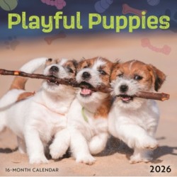 Playful Puppies Square Mini Sunday Start