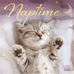 Naptime Square Wall Sunday Start Calenda