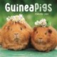 Guinea Pigs Square Mini Calendar 2026
