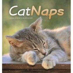 Cat Naps Easel Desk Calendar 2026