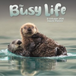 Busy Life Planner Wall Calendar 2026
