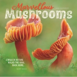 Marvellous Mushrooms Square Wall Calenda