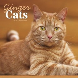Ginger Cats Square Wall Calendar 2026