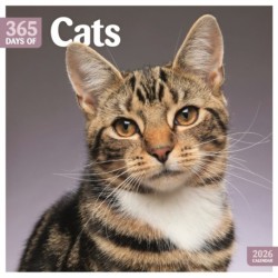 Cats 365 Days Square Wall Calendar 2026