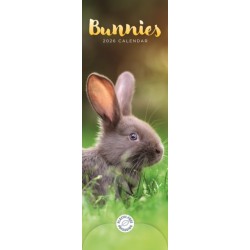 Bunnies Slim Calendar 2026