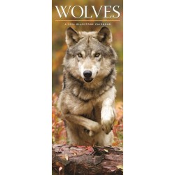 Wolves Deluxe Slim Sunday Start Calendar