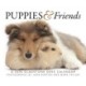 Puppies Friends Box Calendar 2026