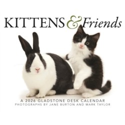 Kittens Friends Box Calendar 2026