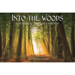 Into The Woods Deluxe Wall Sunday Start