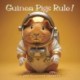 Guinea Pigs Rule Square Wall Sunday Star