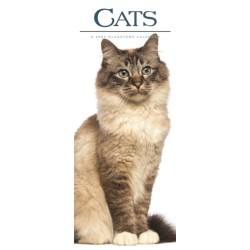 Cats Deluxe Slim Sunday Start Calendar 2