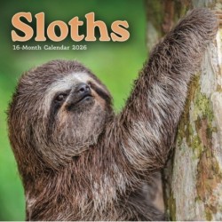 Sloths Square Mini Sunday Start Calendar