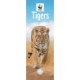 Wwf Tigers Slim Calendar 2026