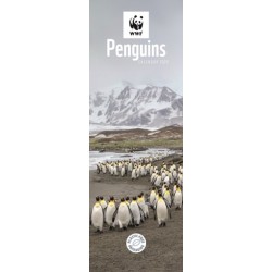 Wwf Penguins Slim Calendar 2026