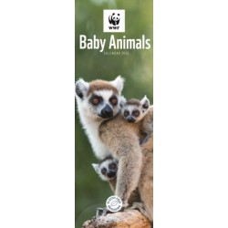 Wwf Baby Animals Slim Calendar 2026