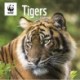 Wwf Tigers Square Wall Calendar 2026