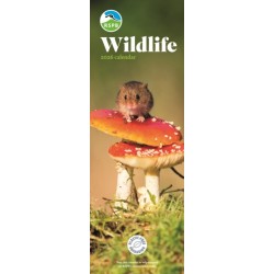 Rspb Wildlife Slim Calendar 2026