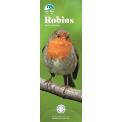 Rspb Robins Slim Calendar 2026