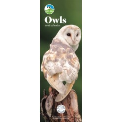 Rspb Owls Slim Calendar 2026