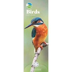 Rspb Birds Slim Calendar 2026