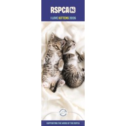 Rspca I Love Kittens Slim Calendar 2026