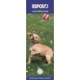 Rspca I Love Puppies Slim Calendar 2026