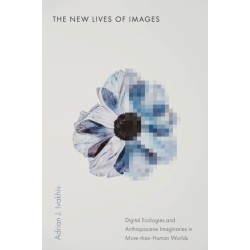 The New Lives of Images: Digital Ecologies and Anthropocene Imaginaries in More-than-Human Worlds