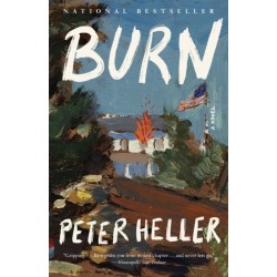 Burn: A Novel