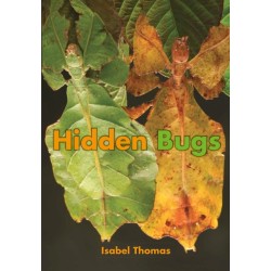 Hidden Bugs