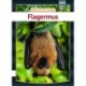 Flagermus