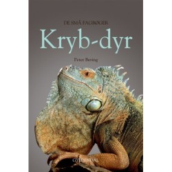 Krybdyr