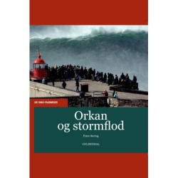 Orkan og stormflod