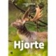 Hjorte