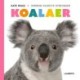 Koalaer