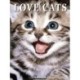 Love Cats