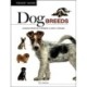 Dog Breeds: Characteristics * Breeds * Care * Origins