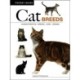 Cat Breeds: Characteristics * Breeds * Care * Origins
