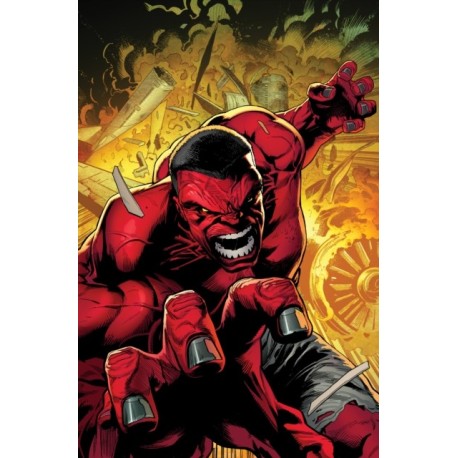 Red Hulk Vol. 1