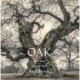 Oak: From Seed to Ancient Tree