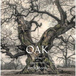 Oak: From Seed to Ancient Tree