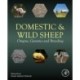 Domestic and Wild Sheep: Origins, Genetics and Breeding