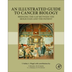 An Illustrated Guide to Cancer Biology