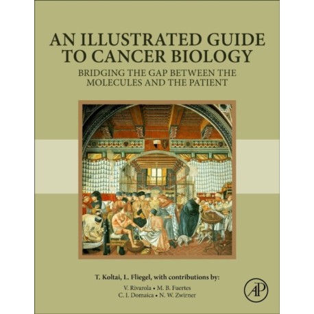 An Illustrated Guide to Cancer Biology