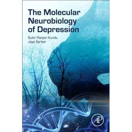The Molecular Neurobiology of Depression