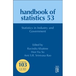 Statistics in Industry and Government