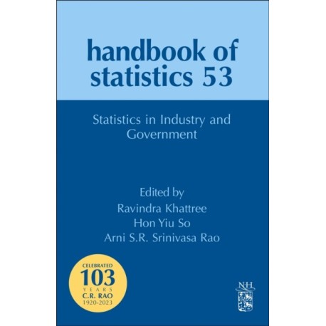 Statistics in Industry and Government