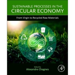 Sustainable Processes in the Circular Economy: From Virgin to Recycled Raw Materials
