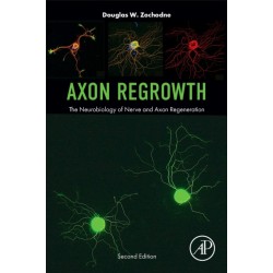 Axon Regrowth: The Neurobiology of Nerve and Axon Regeneration