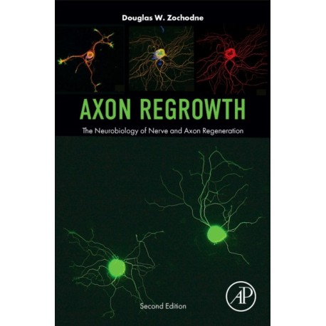Axon Regrowth: The Neurobiology of Nerve and Axon Regeneration