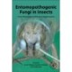 Entomopathogenic Fungi in Insects: From Physiological Effects to Applications
